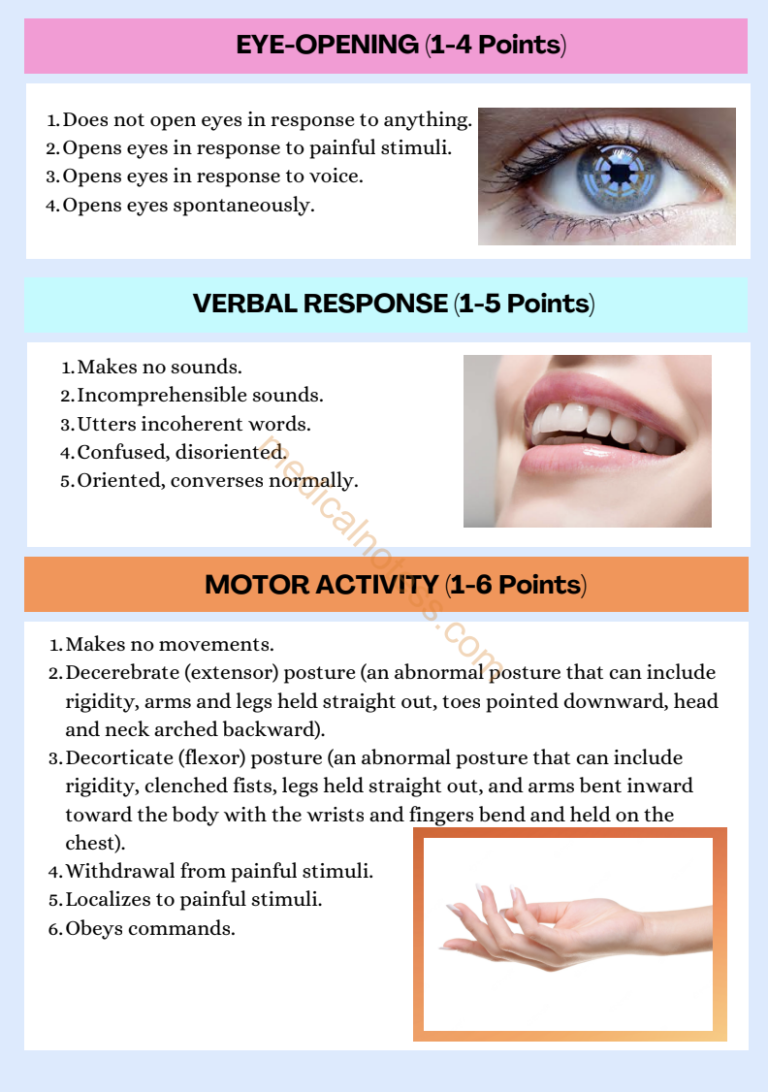 Screenshot 2024-12-17 at 9.37.29 PM